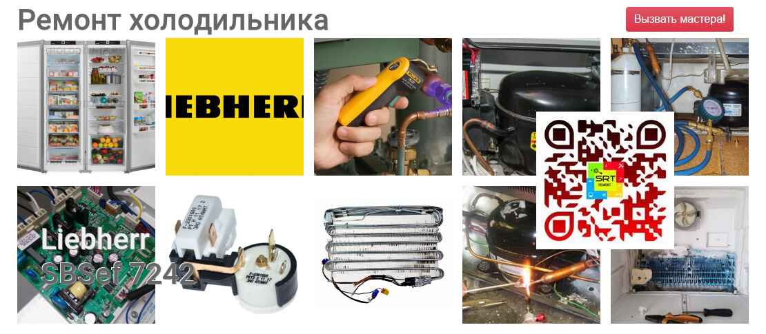 SBSef 7242