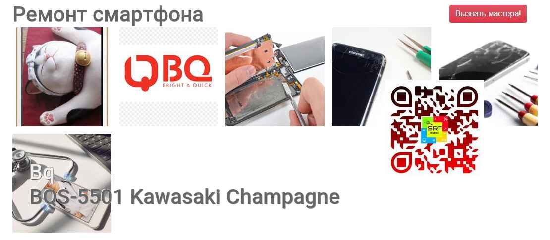 BQS-5501 Kawasaki Champagne
