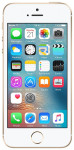 Смартфон Apple iPhone SE 16GB Gold MLXM2RU/A
